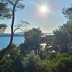 Ellasea - Beachside * Zaboric