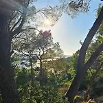 Ellasea - Beachside Zaboric