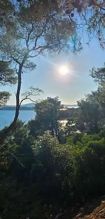 Ellasea - Beachside * Zaboric