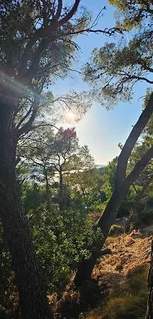 Ellasea - Beachside Zaboric