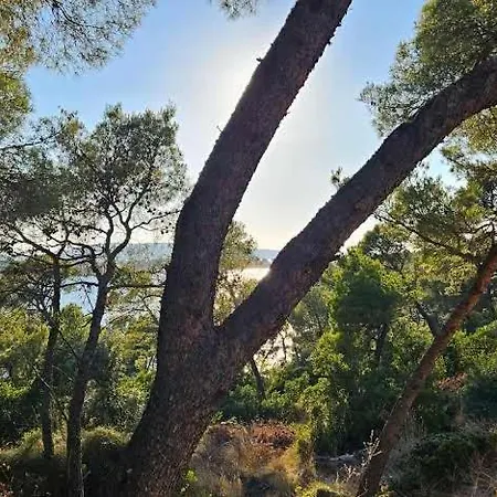 Apartment Ellasea - Beachside