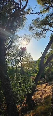 Ellasea - Beachside ז'אבוריץ'