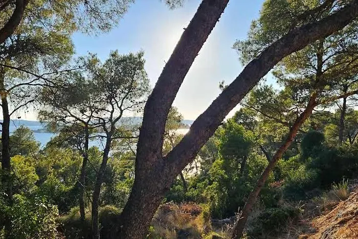 דירה Ellasea - Beachside